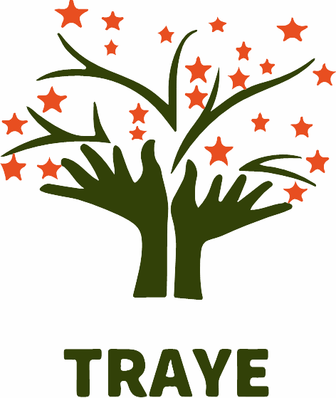Totnes Rural Area Youth Engagement Project (TRAYE)